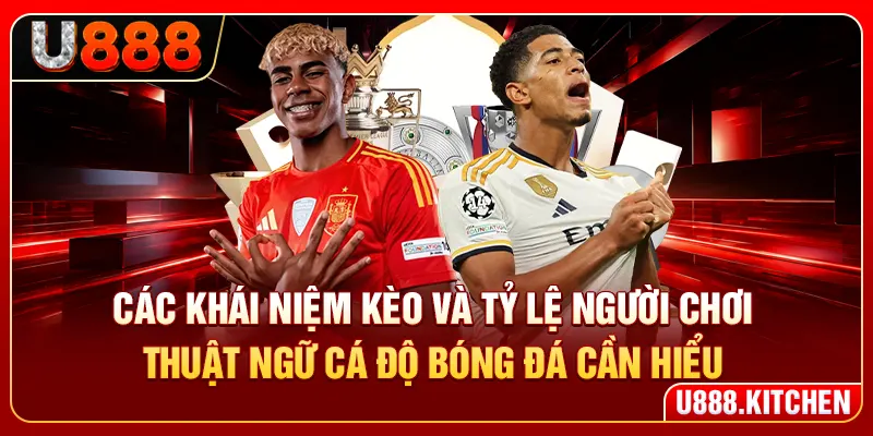 Các khái niệm kèo và tỷ lệ người chơi thuật ngữ cá độ bóng đá cần hiểu