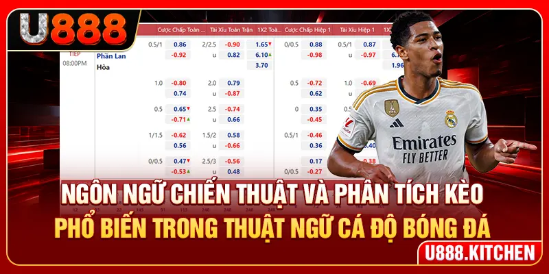 Ngôn ngữ chiến thuật và phân tích kèo phổ biến trong thuật ngữ cá độ bóng đá