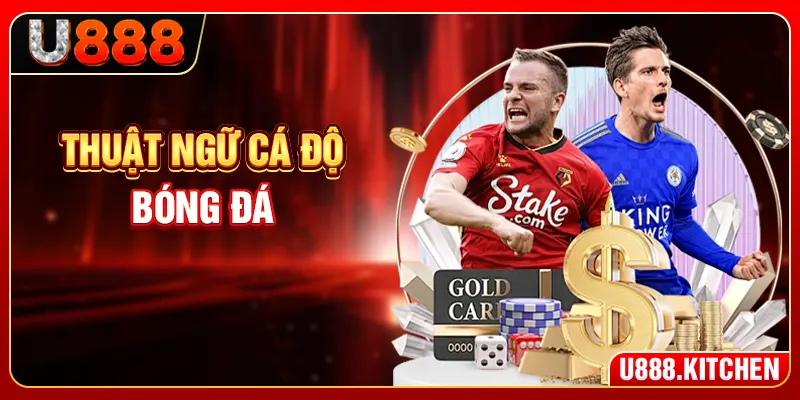 Thuật Ngữ Cá Độ Bóng Đá - “Từ Điển Vàng” Cho Tân Thủ U888