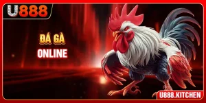 Đá Gà Online - Mang Cả Trường Gà 24/7 Về Điện Thoại Bạn