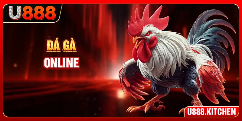 Đá Gà Online - Mang Cả Trường Gà 24/7 Về Điện Thoại Bạn