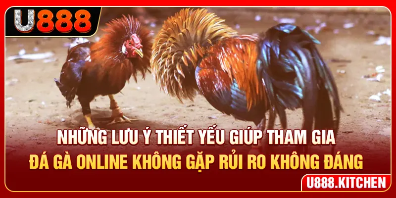 Những lưu ý thiết yếu giúp tham gia đá gà online không gặp rủi ro không đáng