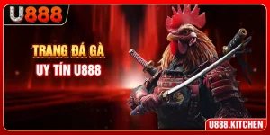 Trang Đá Gà Uy Tín U888 - 3 Sảnh Live Chất Lượng Cao