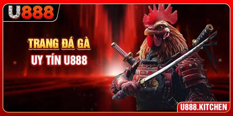 Trang Đá Gà Uy Tín U888 - 3 Sảnh Live Chất Lượng Cao